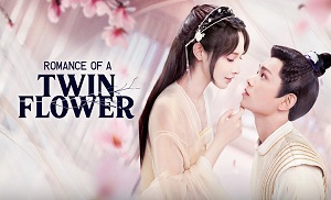 Romance of a Twin Flower 13. Bölüm